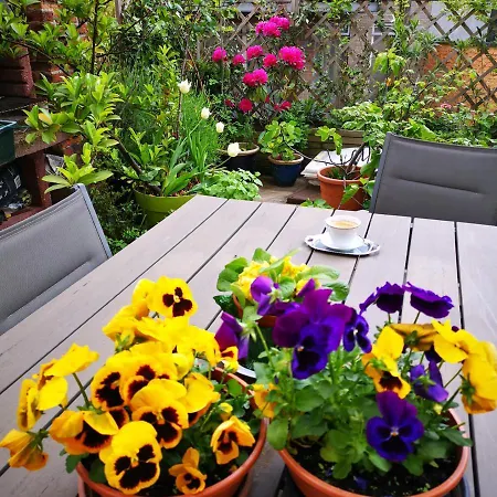 La Ducale Bed & Breakfast 3*