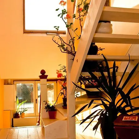 Bed & Breakfast La Ducale Ghent