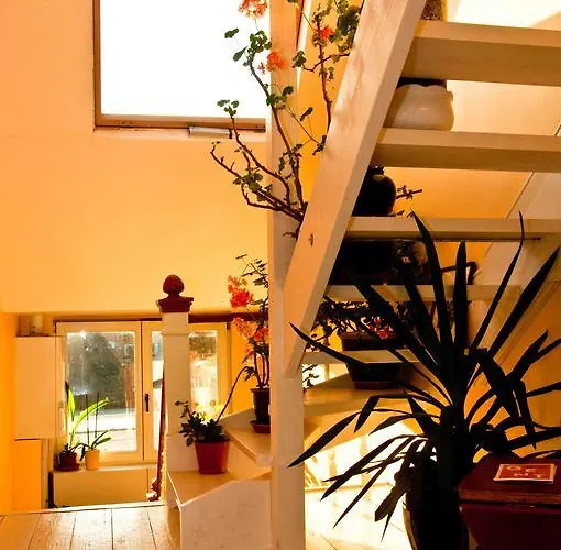 Bed & Breakfast La Ducale Ghent